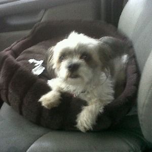 Meet your Posher, Wolfgang